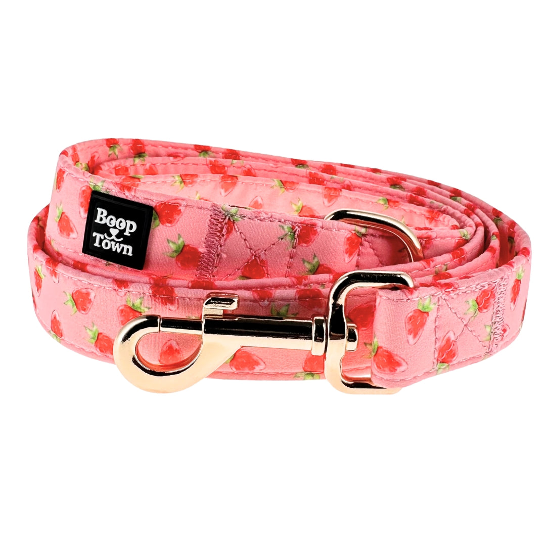 Dog Leashes