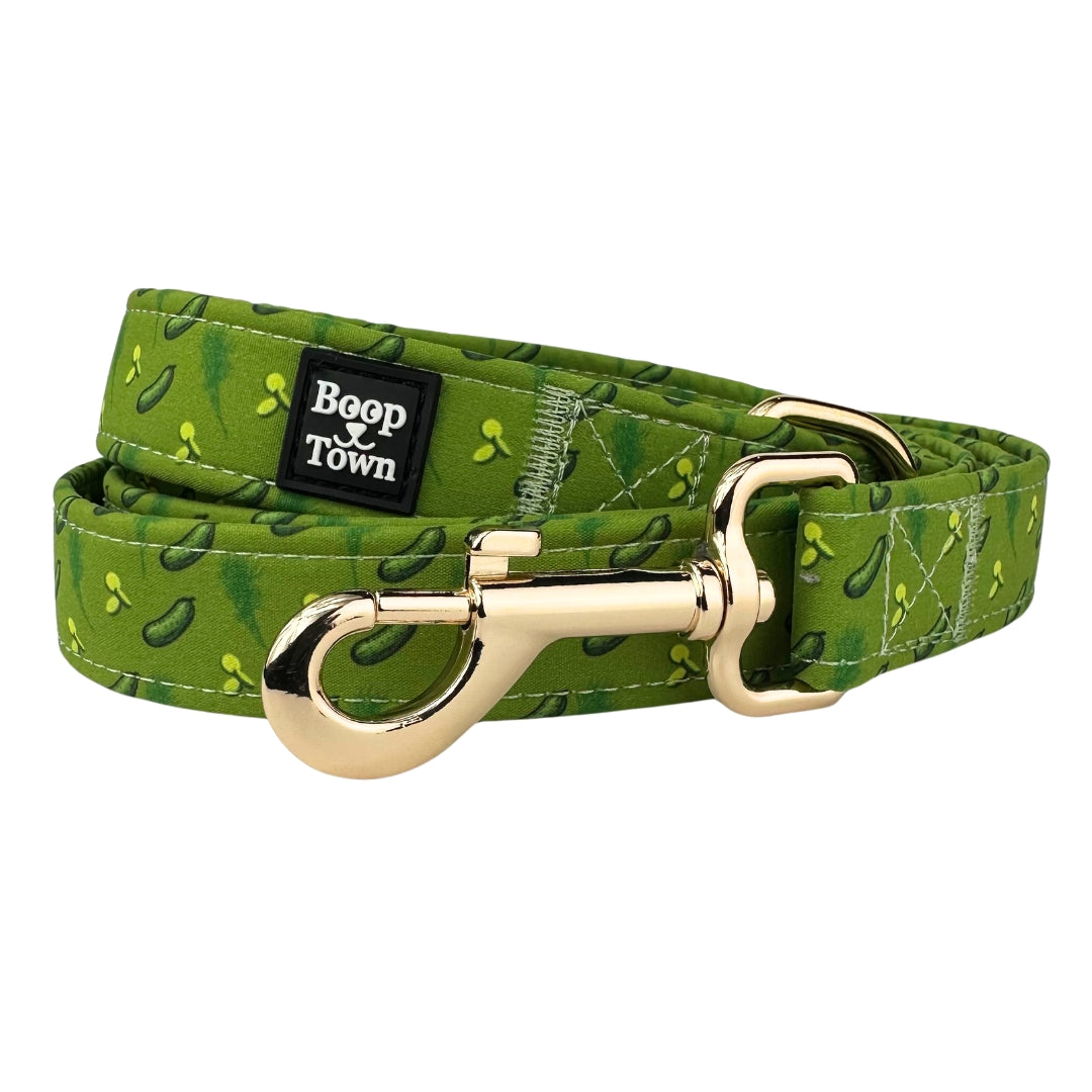 Dog Leashes