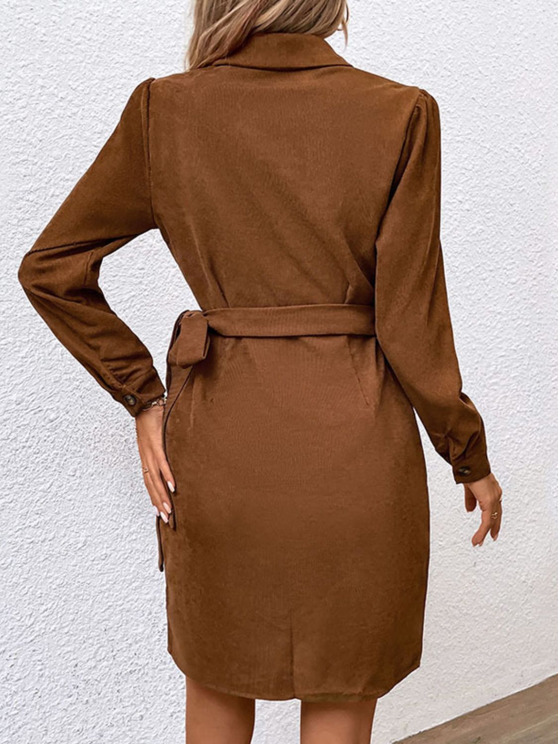 Button-Down Collared Neck Long Sleeve Side Tie Dress